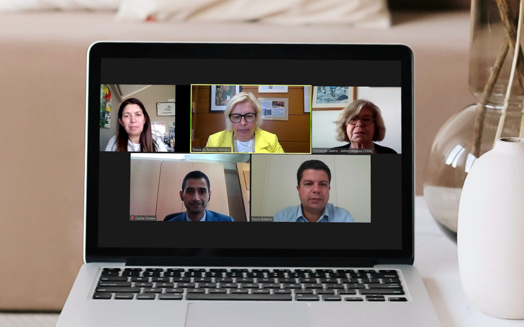 Conselho de Administração da Tercirfoma – Entidade Titular da Escola de Comércio do Porto